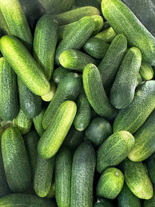 Summer Got You "Cool as a Cucumber?" or "In a Pickle?"