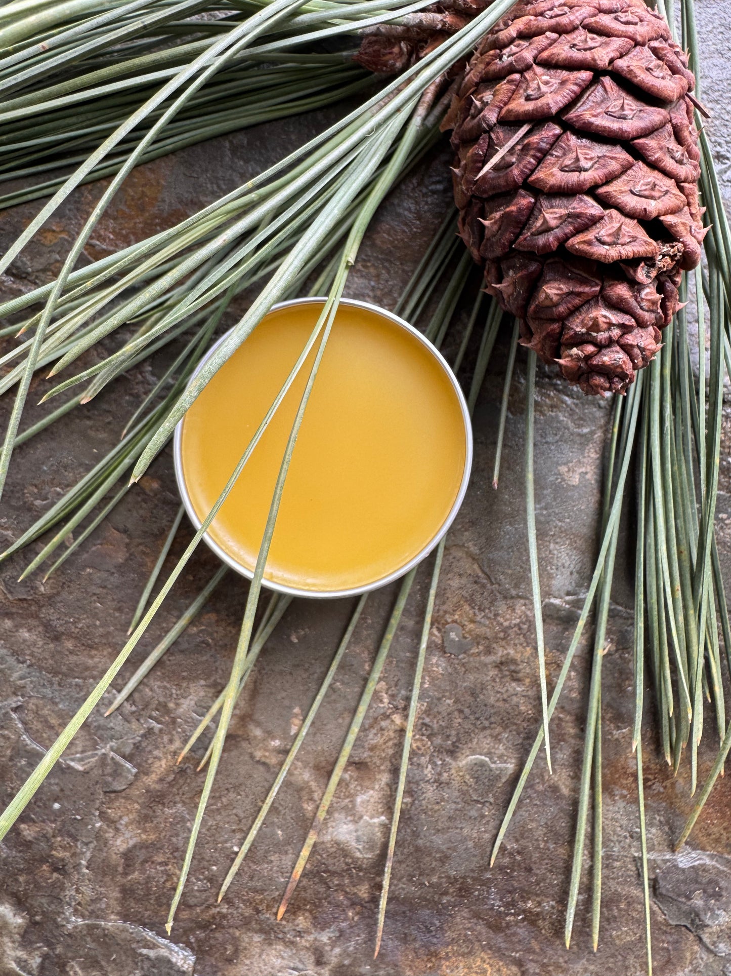 Honey Lip Balm (Tin)