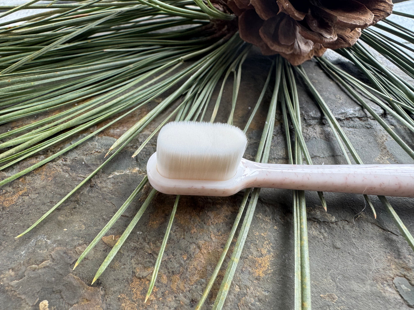 Puppy Polisher Eco Toothbrush (Medium)