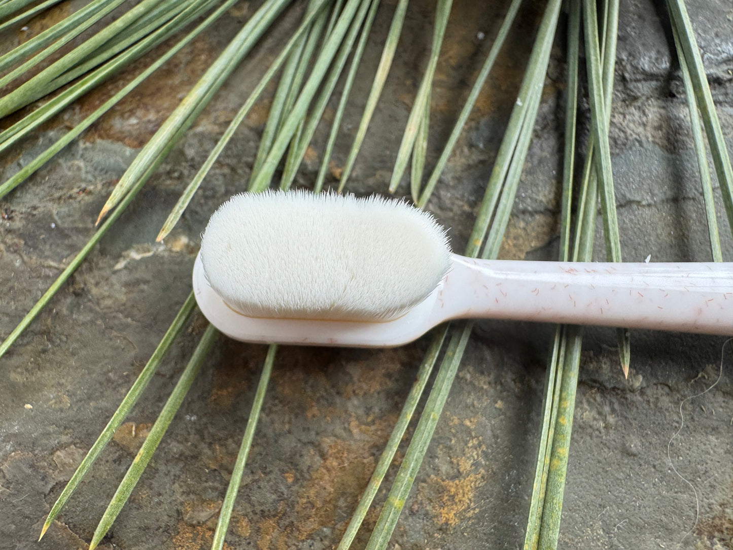 Puppy Polisher Eco Toothbrush (Medium)