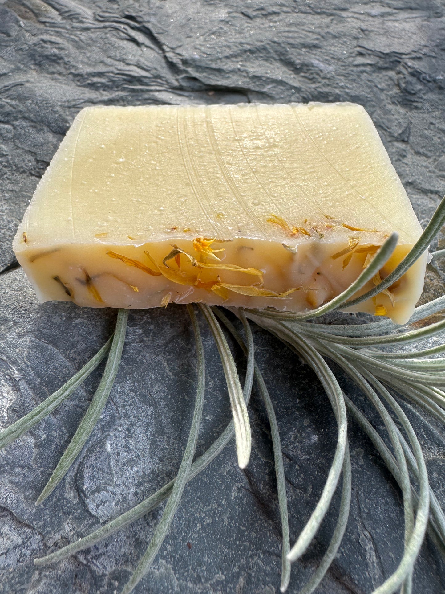 Calendula Tallow Soap Bar